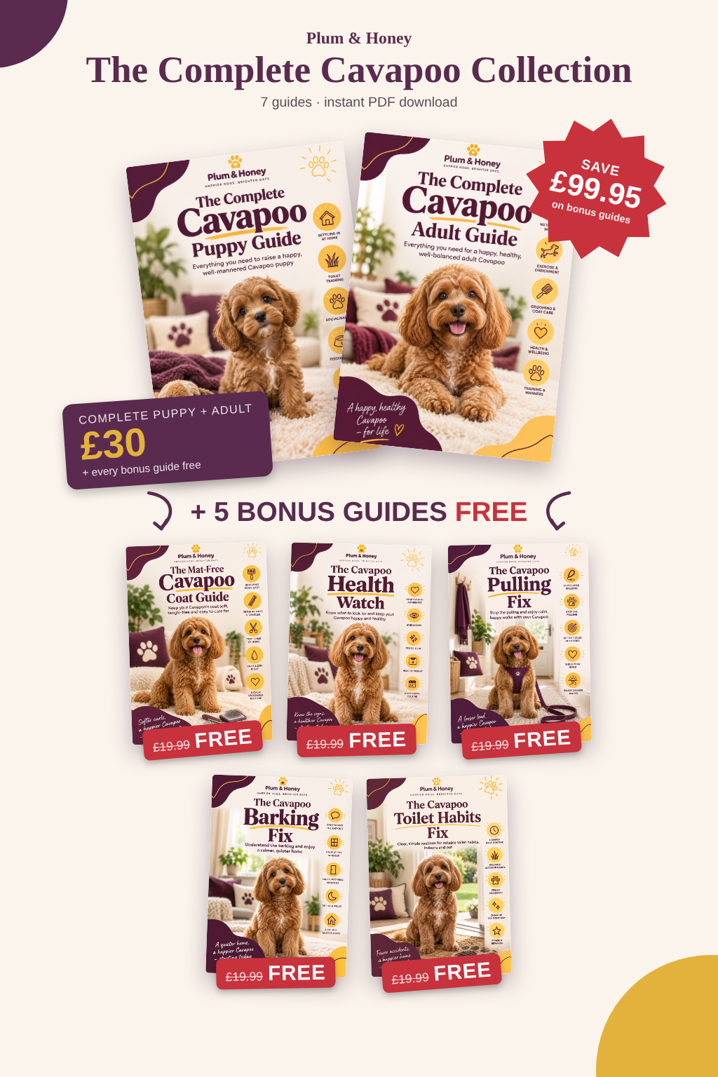 Complete Cavapoo Collection