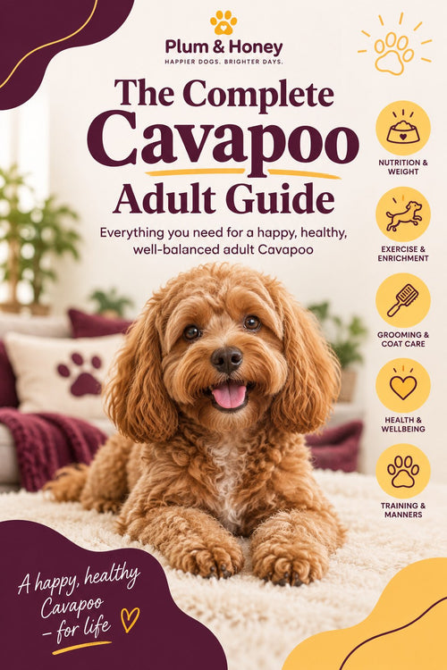 The Complete Cavapoo Adult Guide cover