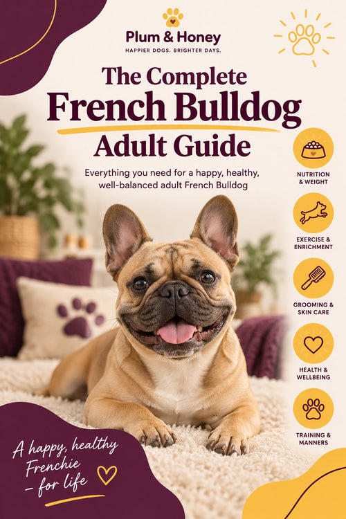 The Complete French Bulldog Adult Guide cover