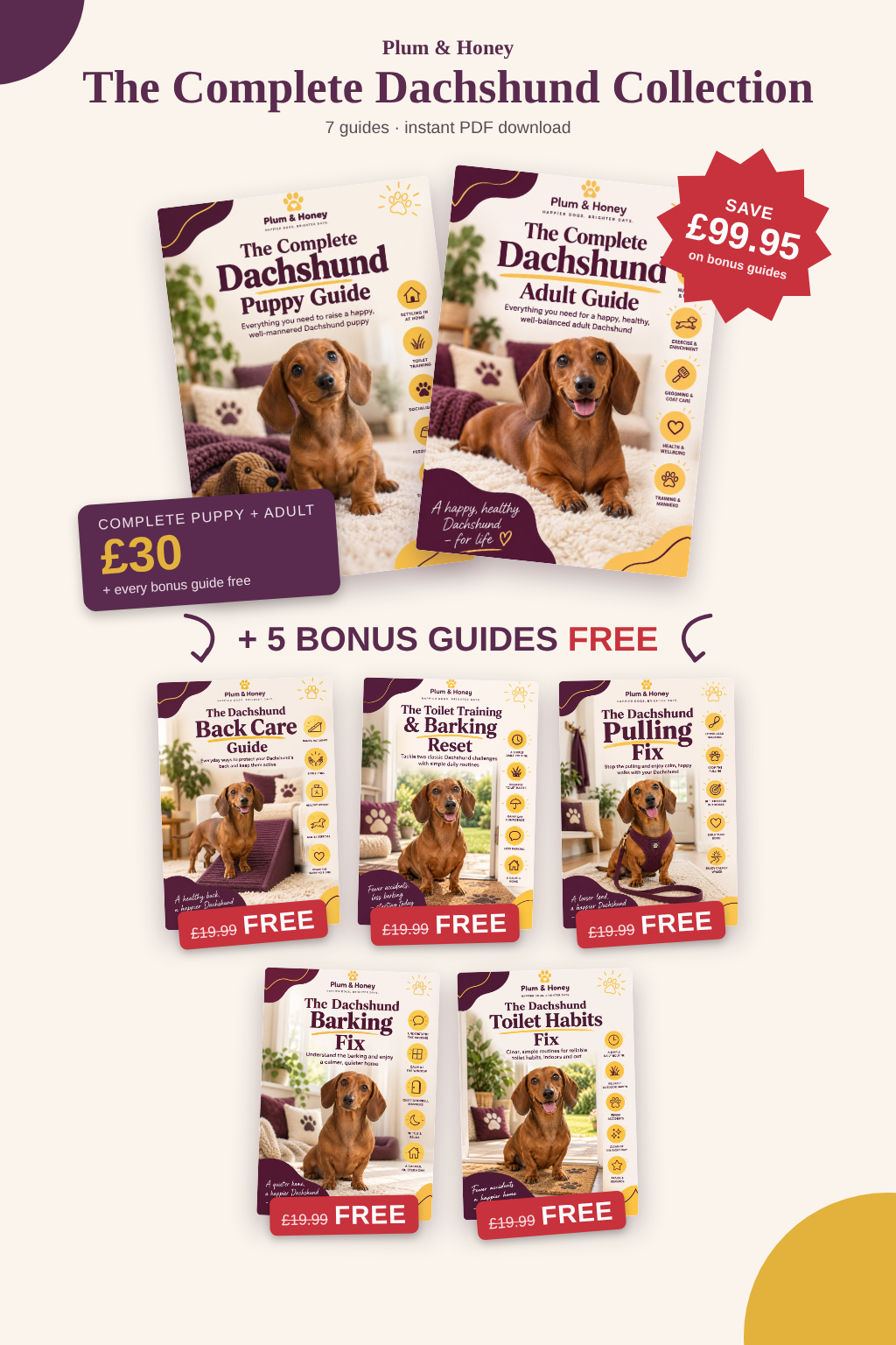 Complete Dachshund Collection