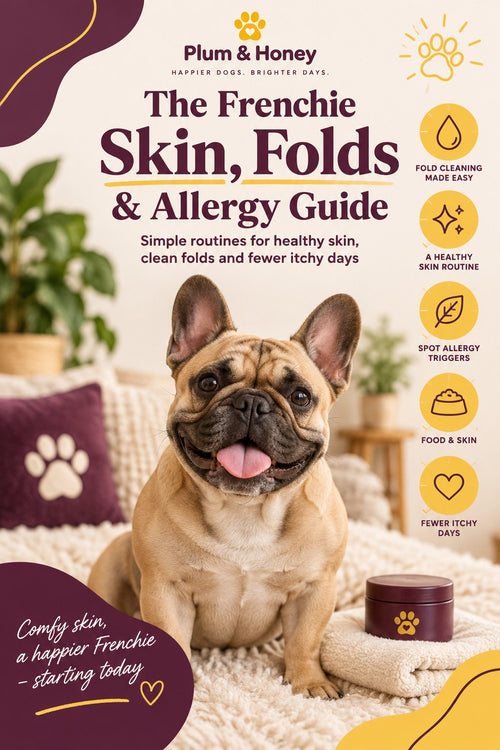 The Frenchie Skin Folds and Allergy Guide cover