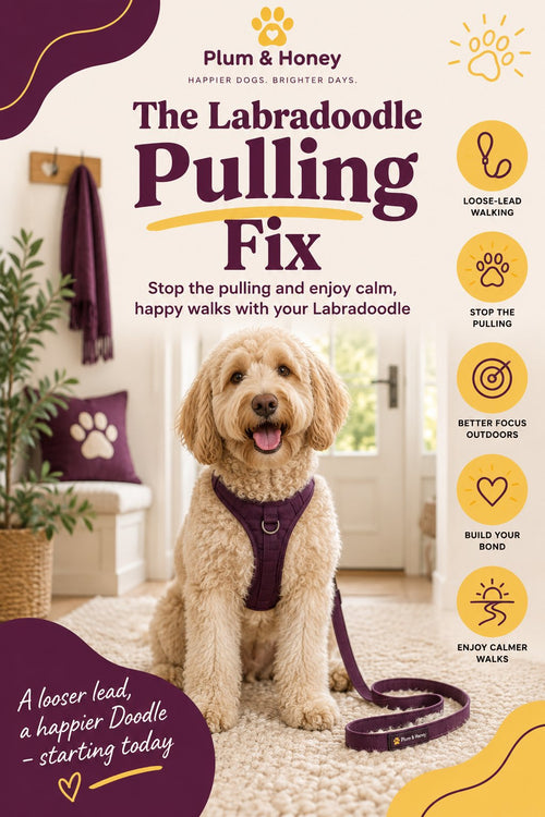 The Labradoodle Pulling Fix cover