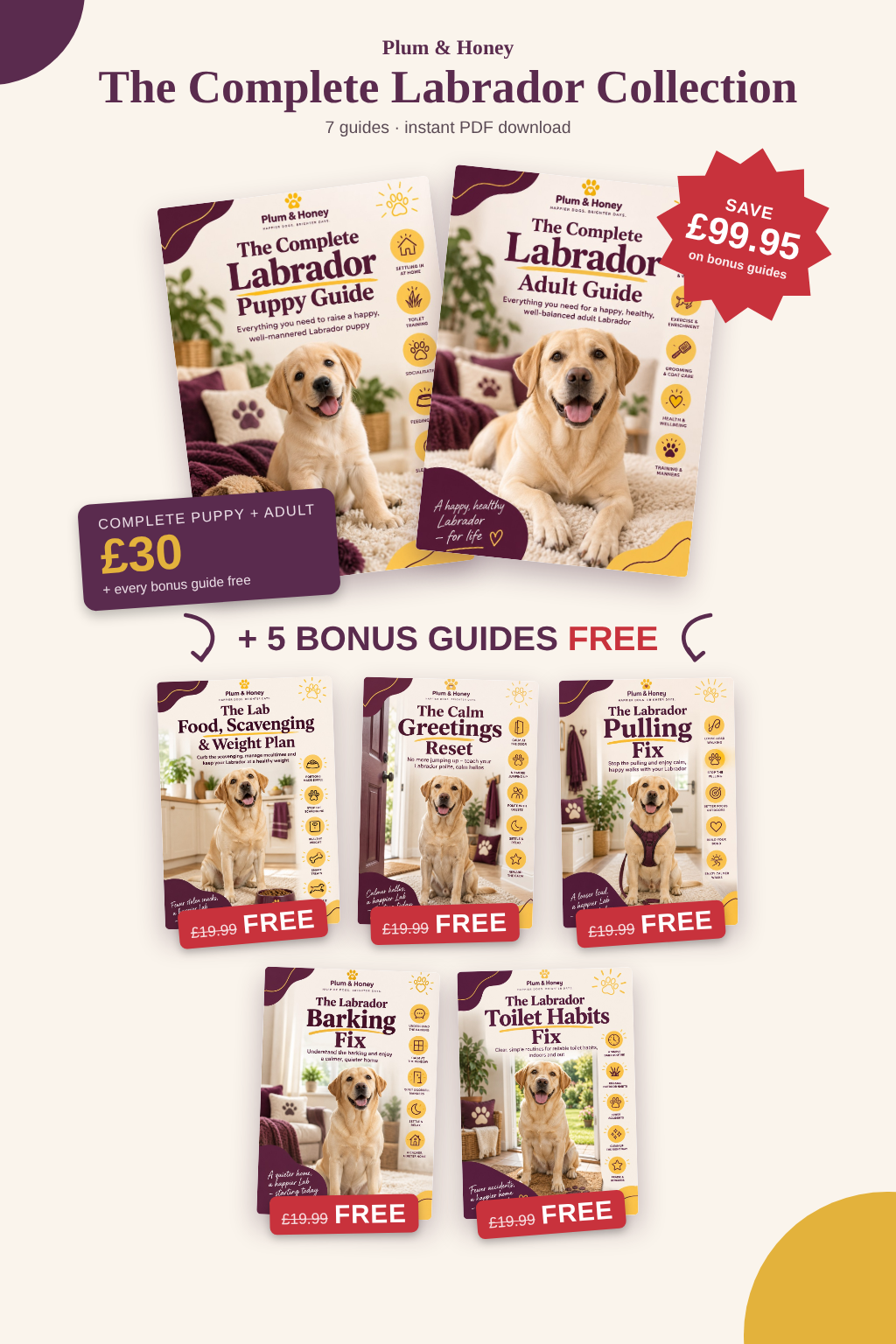 Complete Labrador Collection