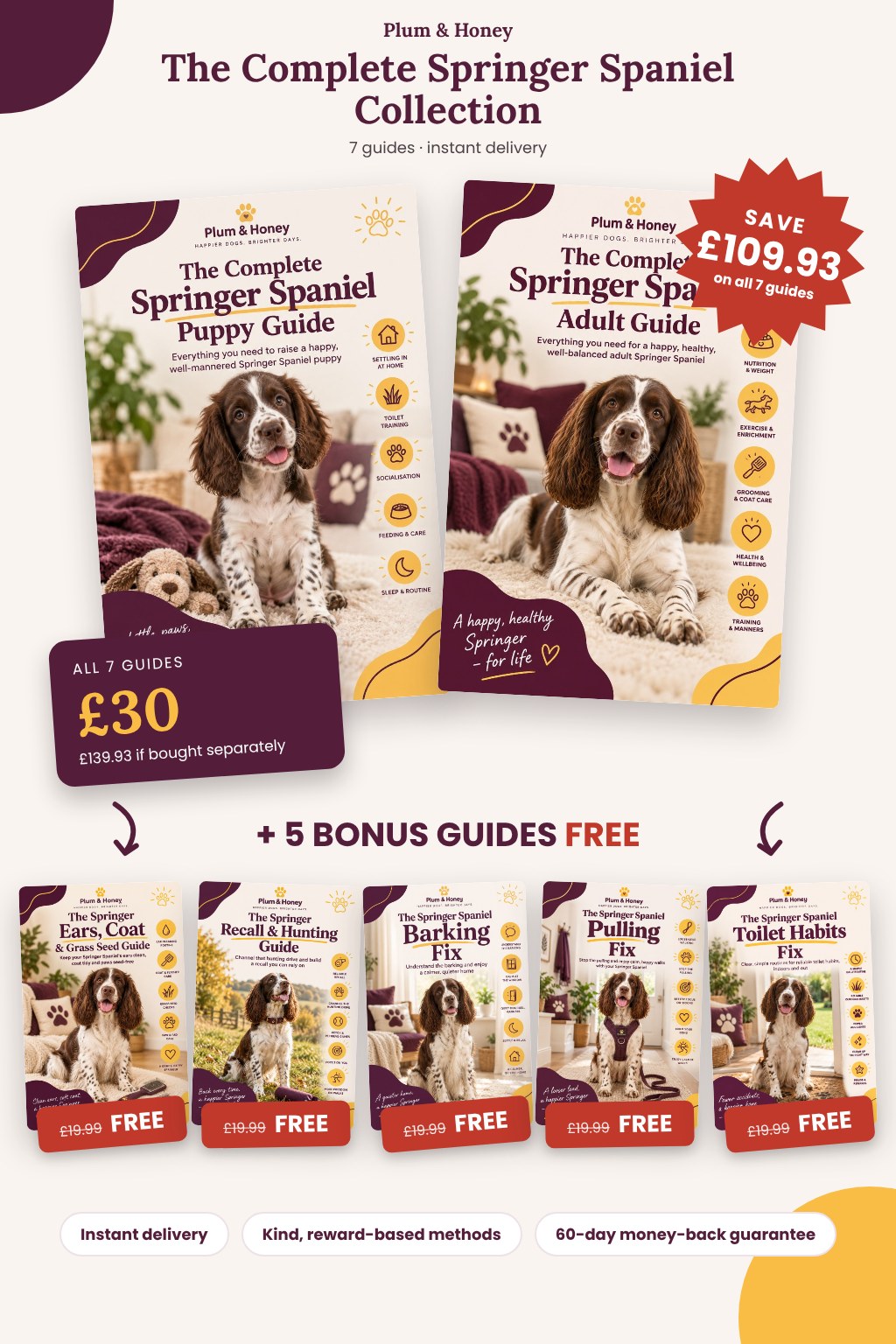 Complete Springer Spaniel Collection